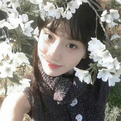 第19分部